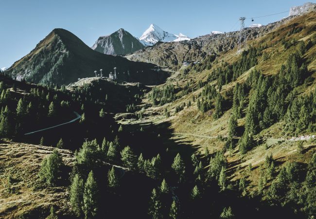 Apartment in Kaprun - Landhaus Lodges Kaprun - Johann Apartment in Kaprun - Landhaus Lodges Kaprun - Johann