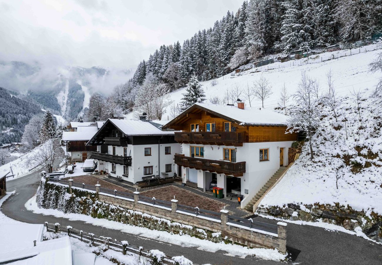 Apartment in Zell am See - Apartment Bauernhof Birkhöfl - TOP 3