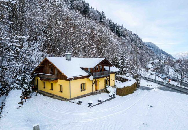 Apartment in Zell am See - Lake View Lodges - Penthouse