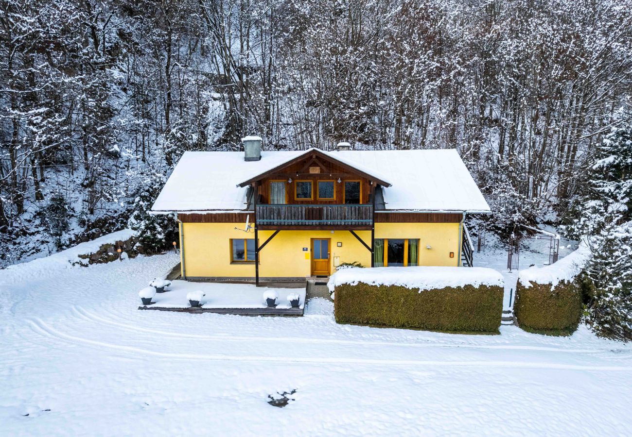 Apartment in Zell am See - Lake View Lodges - Penthouse