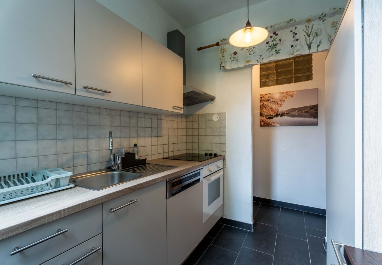 Apartment in Zell am See - Living Eden - TOP 2