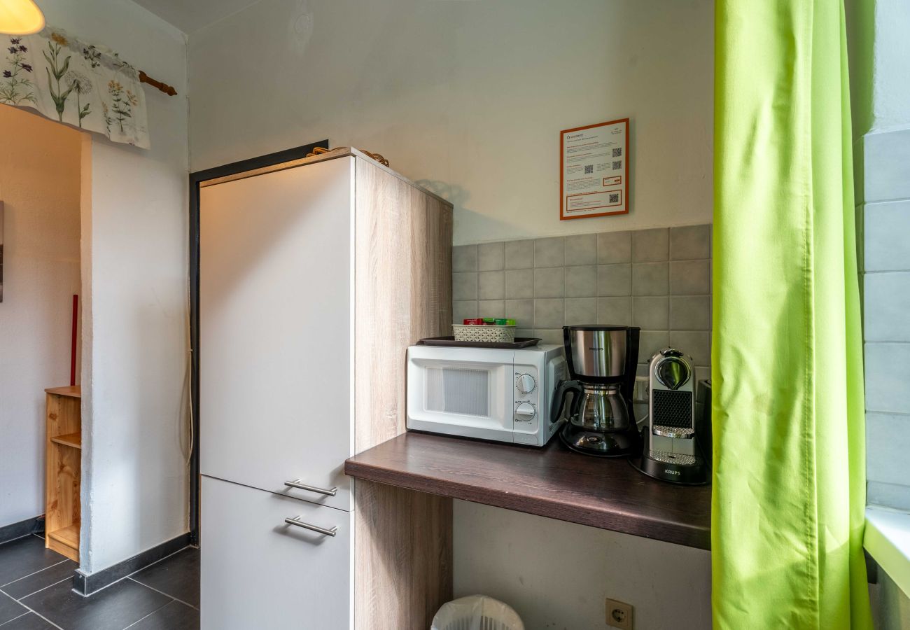 Apartment in Zell am See - Living Eden - TOP 2