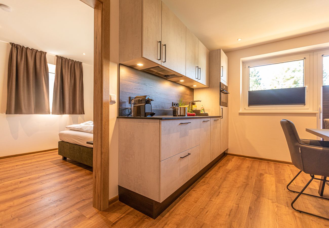 Apartment in Zell am See - Tevini Boutique Suites - Apartment Earth