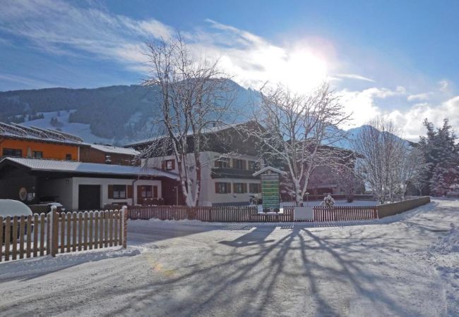 Apartment in Rauris - Appartements Enzian - TOP 1