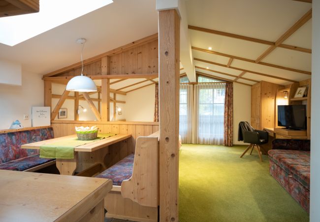 Apartment in Kaprun - Haus Katharina - Dorfblick Apartment in Kaprun - Haus Katharina - Dorfblick