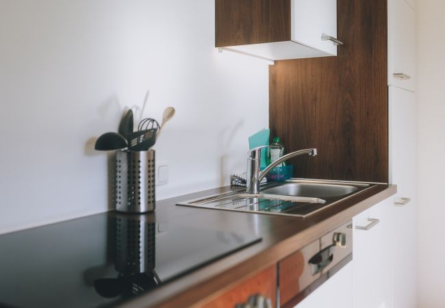 Apartment in Zell am See - Apartments Haus Altenberger #4 Seeblick Apartment in Zell am See - Apartments Haus Altenberger #4 Seeblick