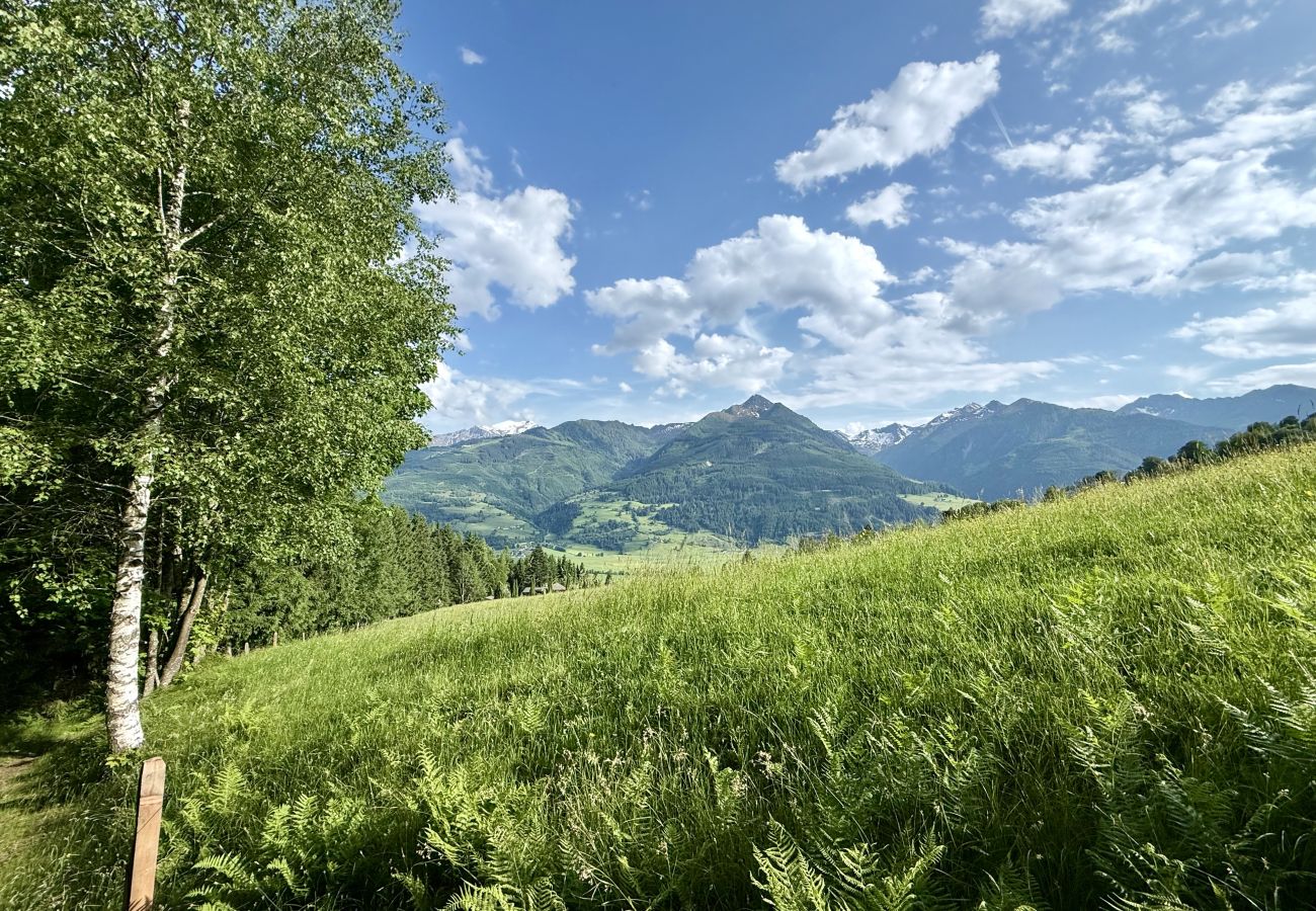 Apartment in Piesendorf - Apartment Alpinero 405