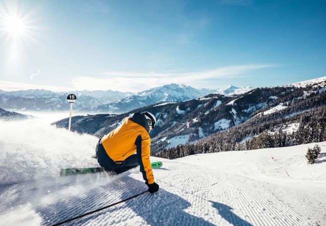 Apartment in Zell am See - Areit Apartments - Top 1 Apartment in Zell am See - Areit Apartments - Top 1