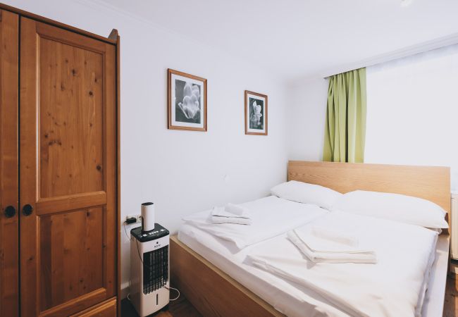 Apartment in Zell am See - Areit Apartments - Top 1 Apartment in Zell am See - Areit Apartments - Top 1