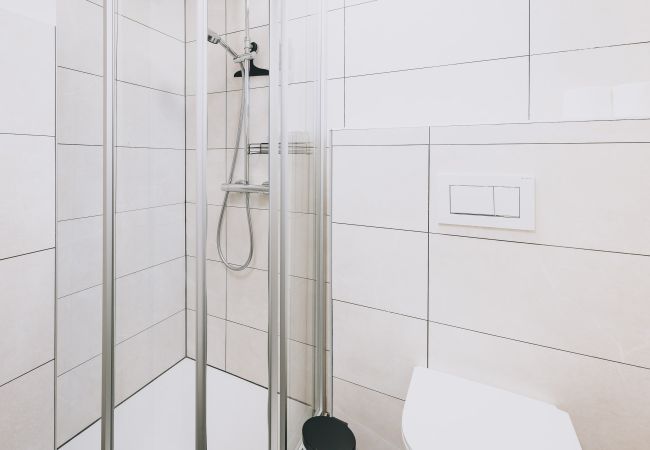 Apartment in Zell am See - Areit Apartments - Top 1 Apartment in Zell am See - Areit Apartments - Top 1