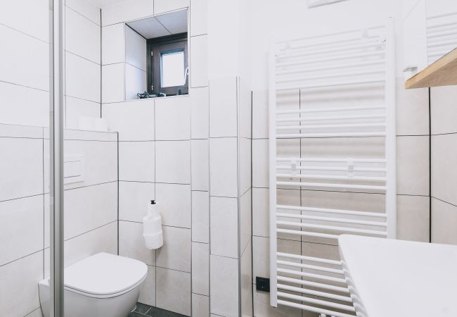 Apartment in Zell am See - Areit Apartments - Top 1 Apartment in Zell am See - Areit Apartments - Top 1