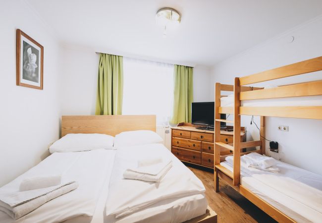 Apartment in Zell am See - Areit Apartments - Top 1 Apartment in Zell am See - Areit Apartments - Top 1