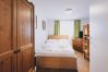 Apartment in Zell am See - Areit Apartments - Top 1 Apartment in Zell am See - Areit Apartments - Top 1