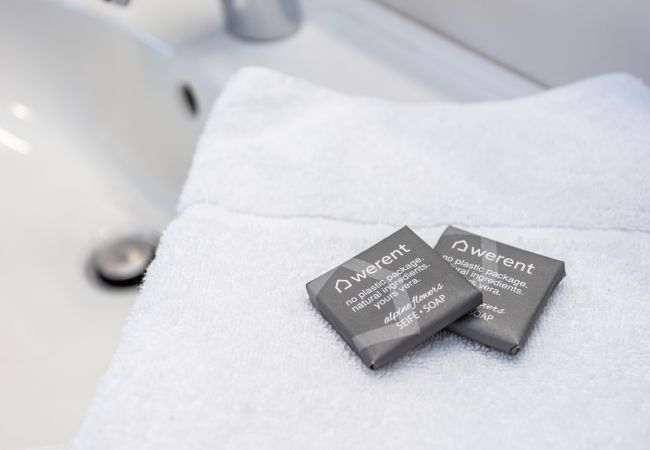 Apartment in Saalbach - Appartements Hollin - Top 1 Apartment in Saalbach - Appartements Hollin - Top 1