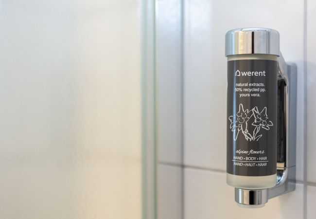 Apartment in Saalbach - Appartements Hollin - Top 1 Apartment in Saalbach - Appartements Hollin - Top 1