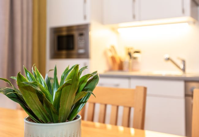 Apartment in Saalbach - Appartements Hollin - Top 2 Apartment in Saalbach - Appartements Hollin - Top 2