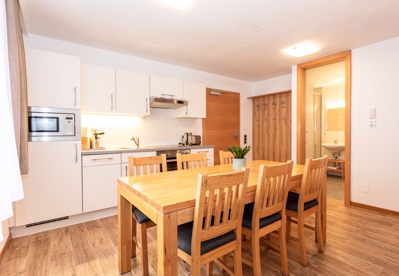 Appartements Hollin in Saalbach by we rent apartments