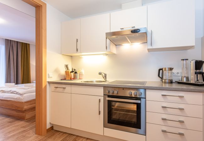 Apartment in Saalbach - Appartements Hollin - Top 3 Apartment in Saalbach - Appartements Hollin - Top 3