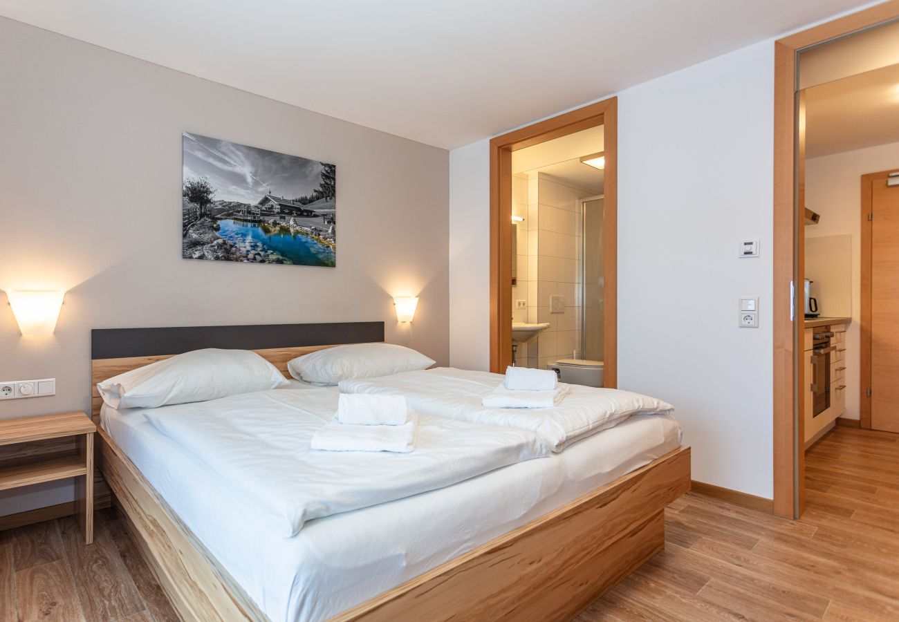 Appartements Hollin in Saalbach by we rent apartments