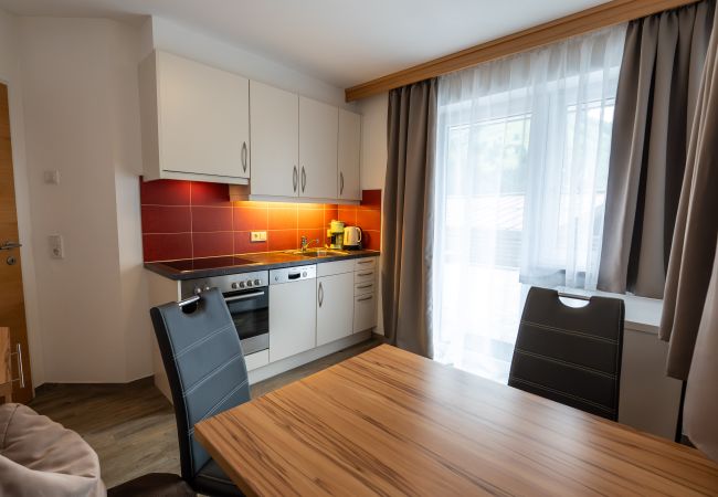 Apartment in Viehhofen - Appartement MaLo - Top 2 Apartment in Viehhofen - Appartement MaLo - Top 2