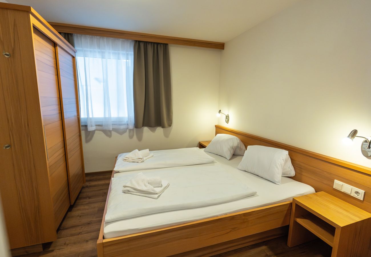 Apartment in Viehhofen - Appartement MaLo - Top 2