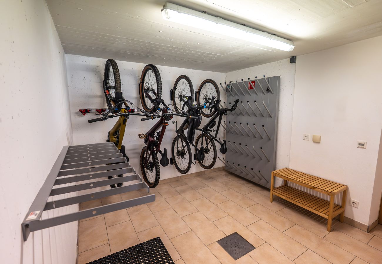 Apartment in Viehhofen - Appartement MaLo - Top 2