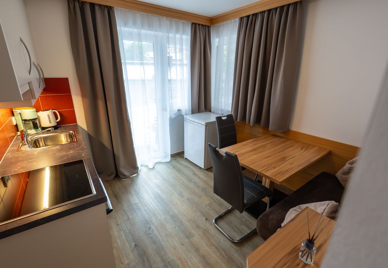 Apartment in Viehhofen - Appartement MaLo - Top 2