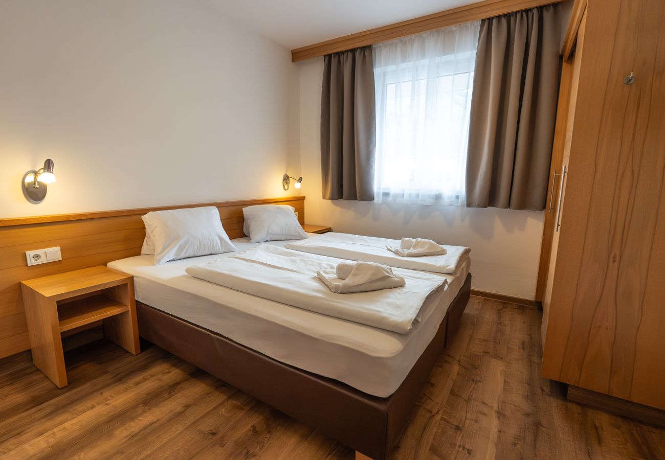 Apartment in Viehhofen - Appartement MaLo - Top 2