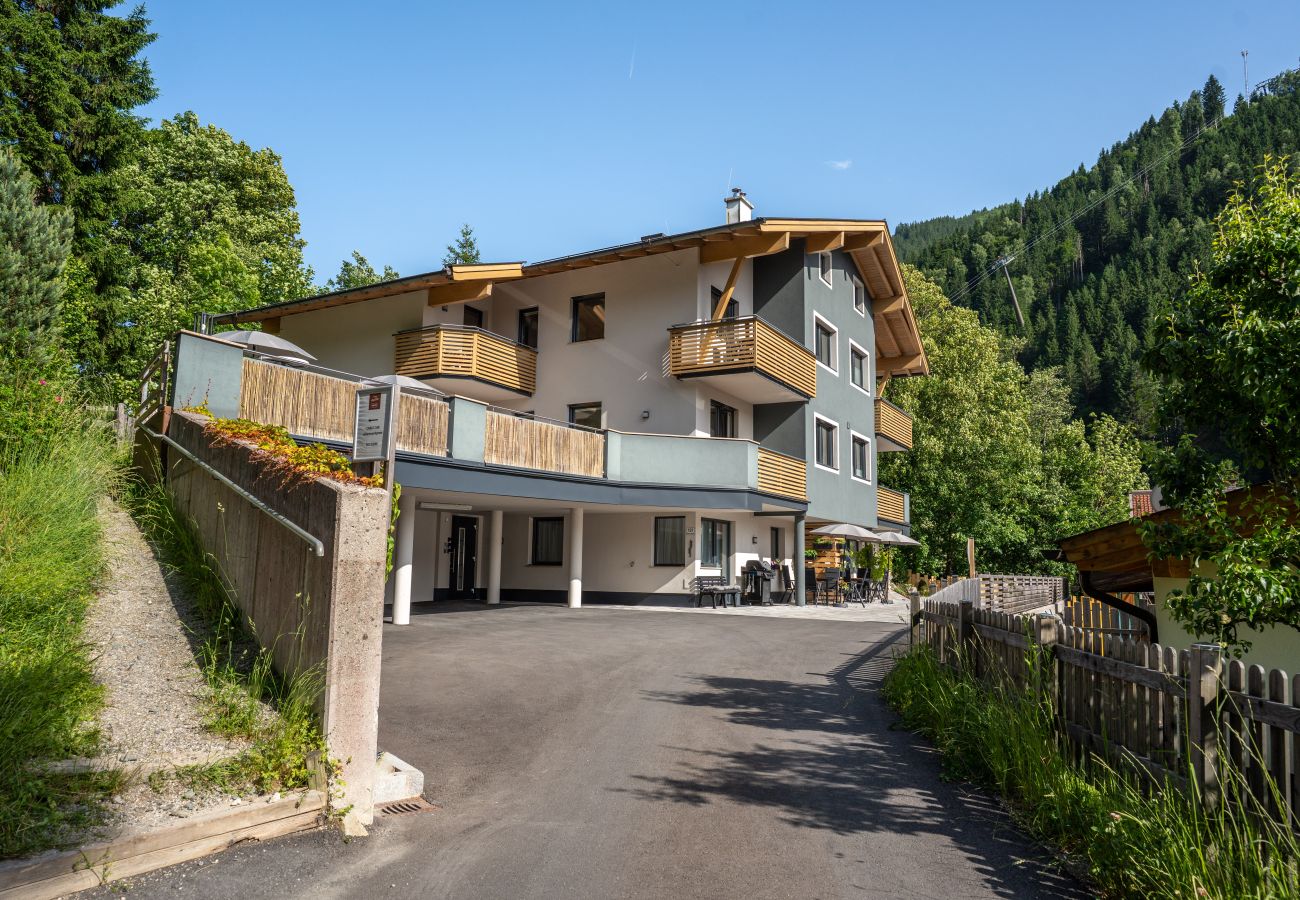 Apartment in Viehhofen - Appartement MaLo - Top 2