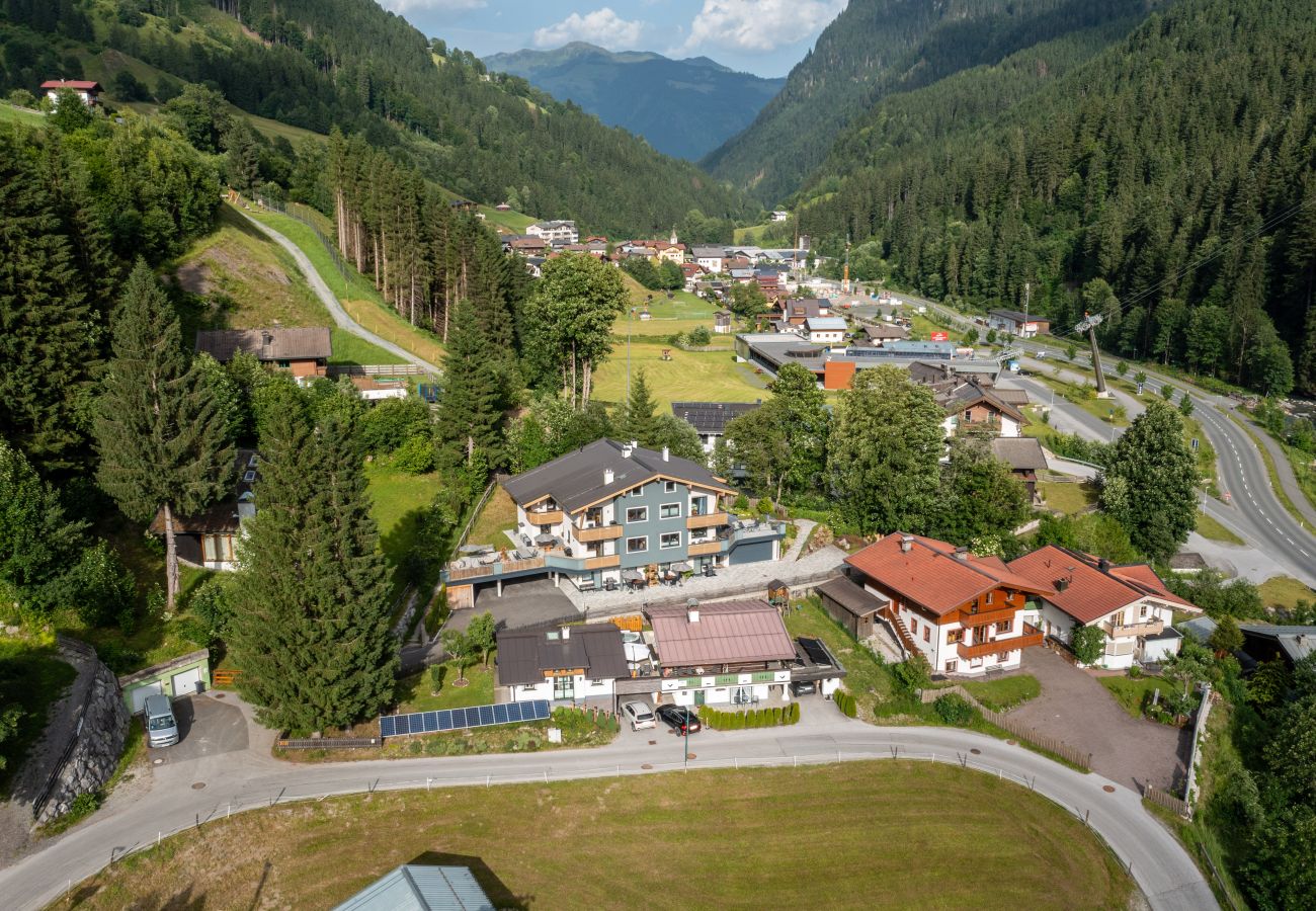 Apartment in Viehhofen - Appartement MaLo - Top 2