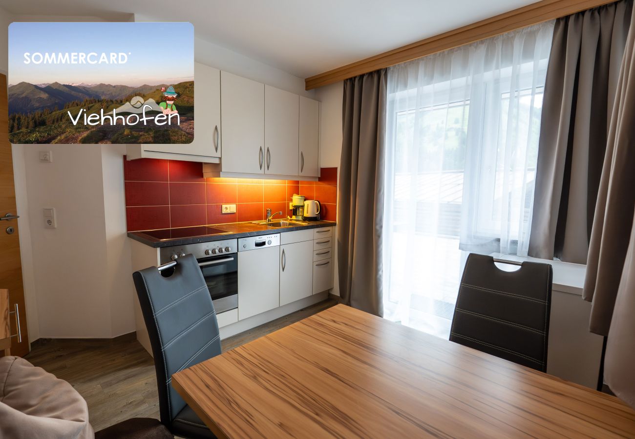 Apartment in Viehhofen - Appartement MaLo - Top 2