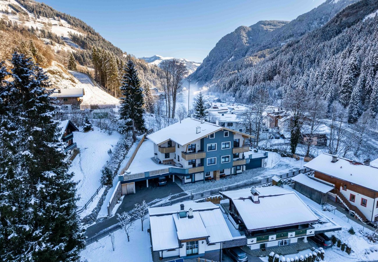 Apartment in Viehhofen - Appartement MaLo - Top 2