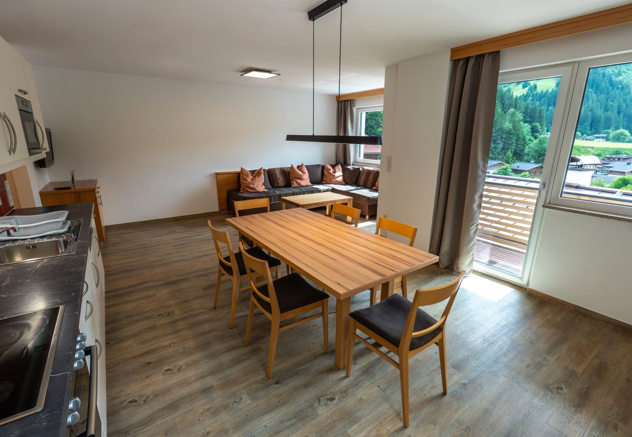 Apartment in Viehhofen - Appartement MaLo - Top 3