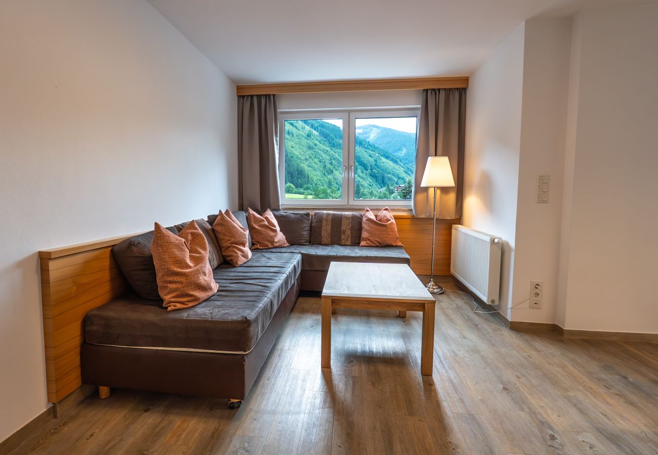 Apartment in Viehhofen - Appartement MaLo - Top 3