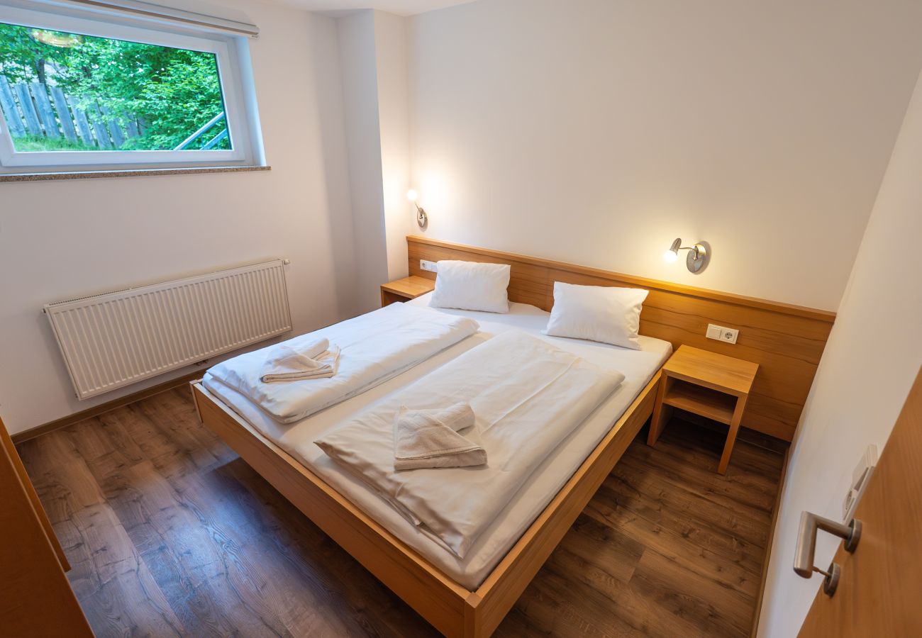 Apartment in Viehhofen - Appartement MaLo - Top 3