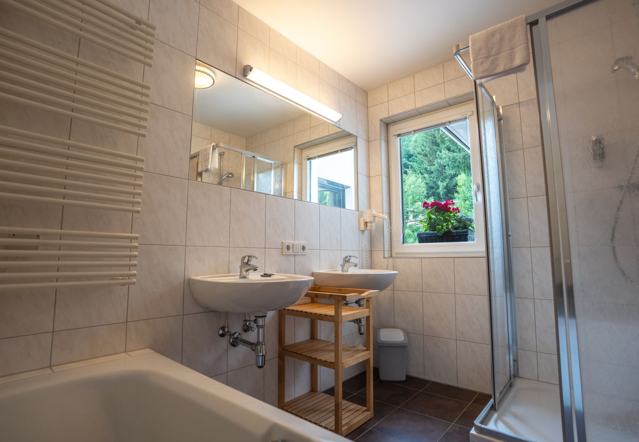 Apartment in Viehhofen - Appartement MaLo - Top 3