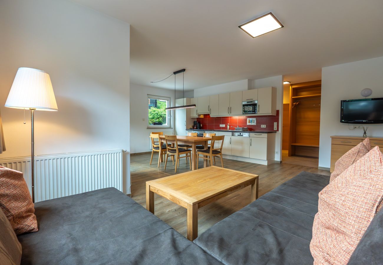 Apartment in Viehhofen - Appartement MaLo - Top 3