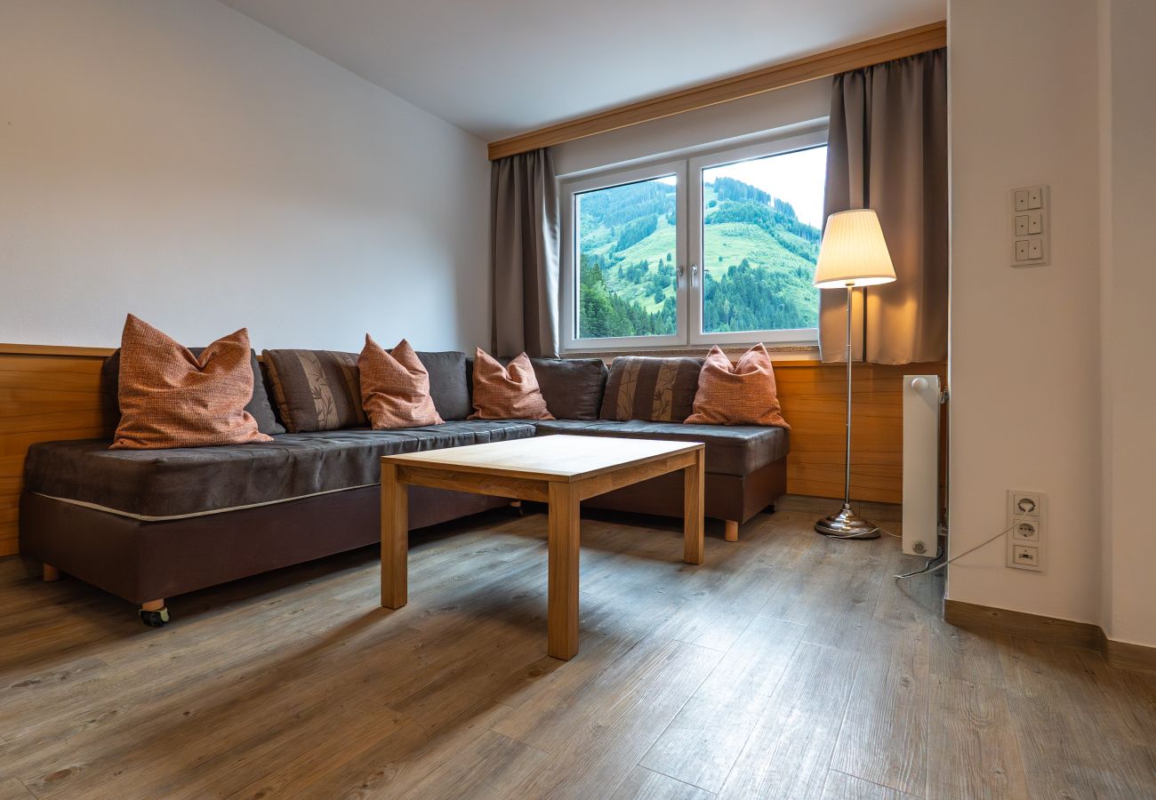 Apartment in Viehhofen - Appartement MaLo - Top 3
