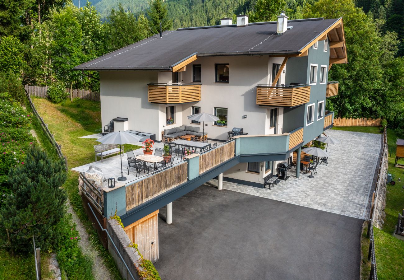 Apartment in Viehhofen - Appartement MaLo - Top 3