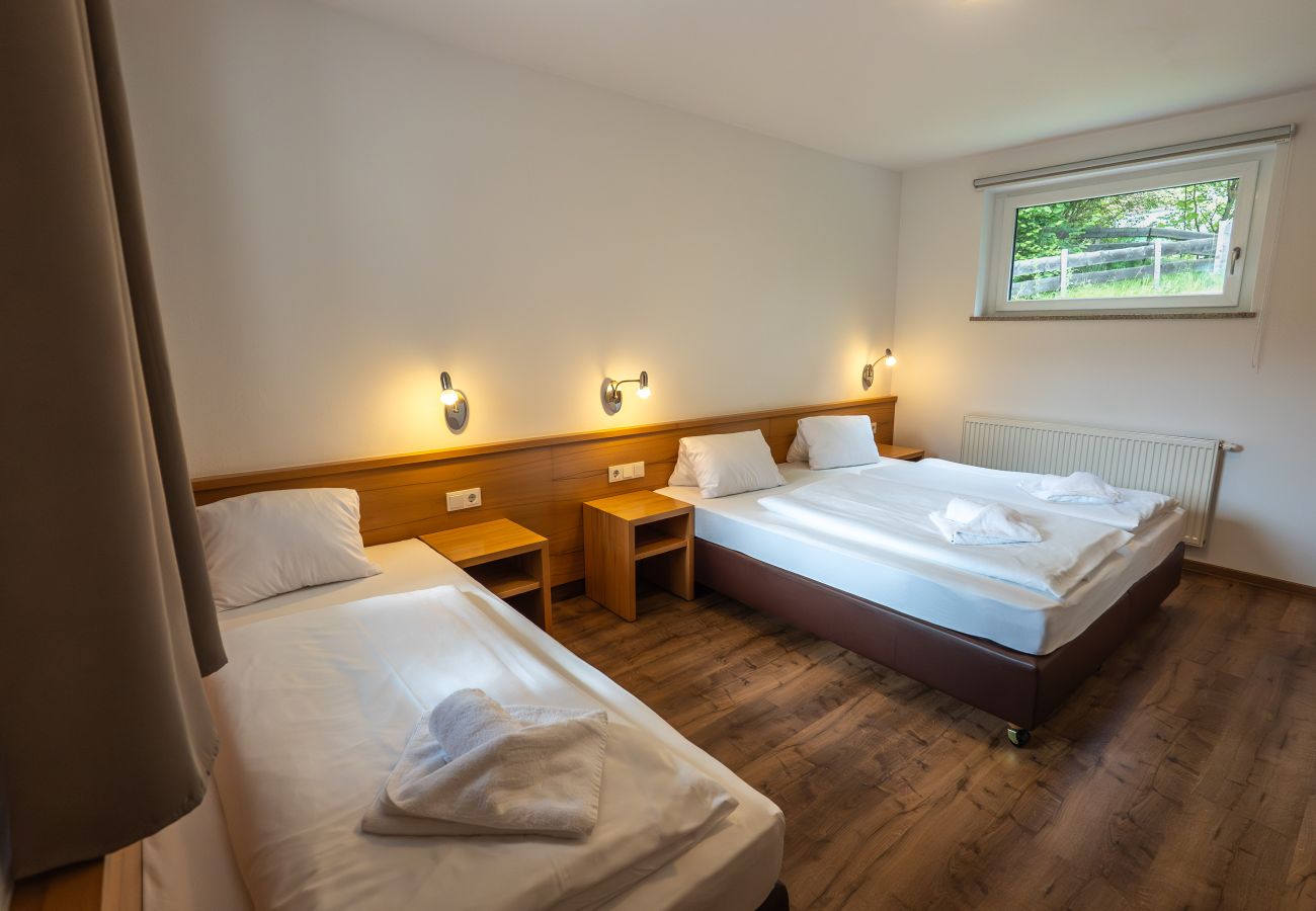 Apartment in Viehhofen - Appartement MaLo - Top 3
