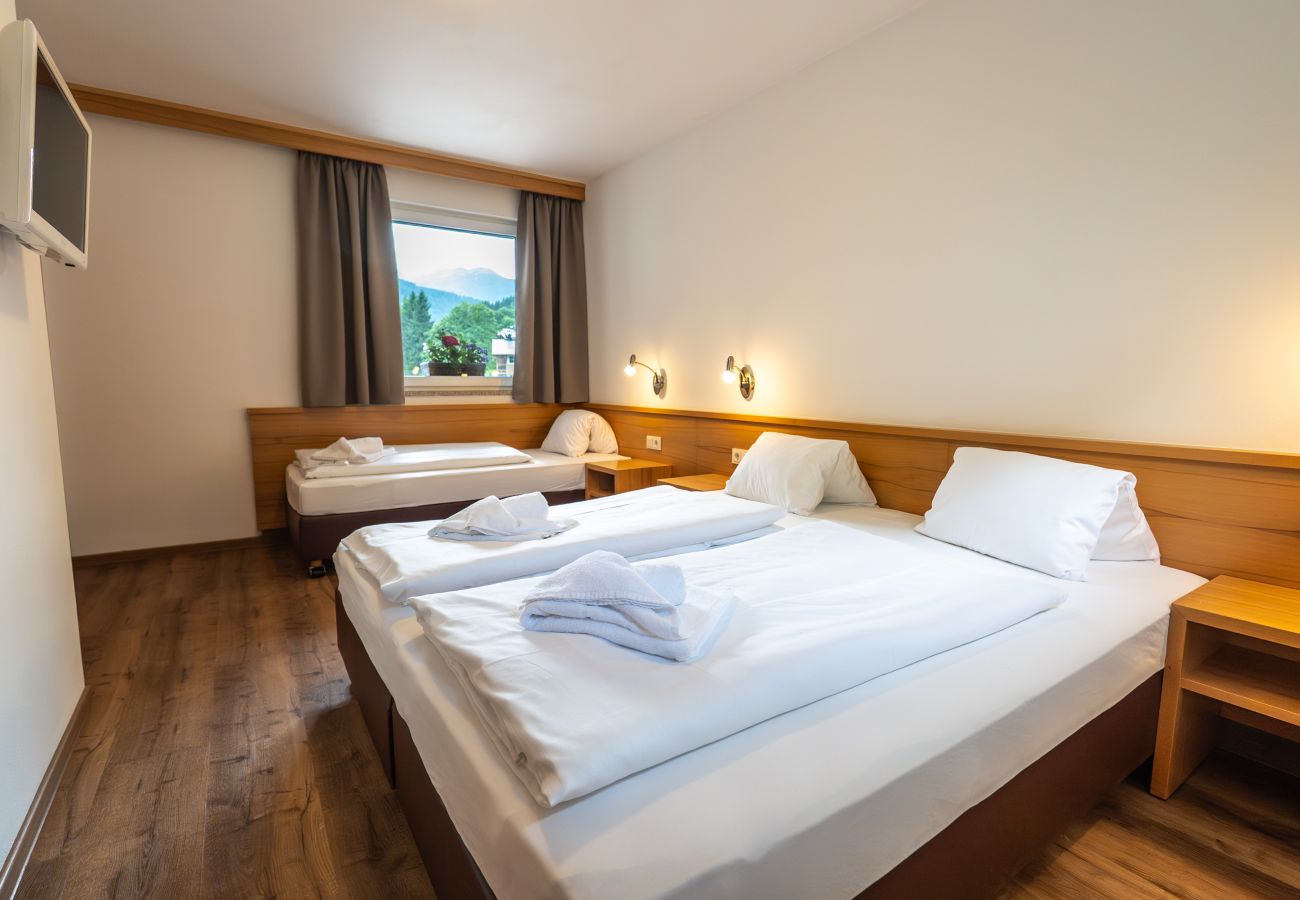 Apartment in Viehhofen - Appartement MaLo - Top 3