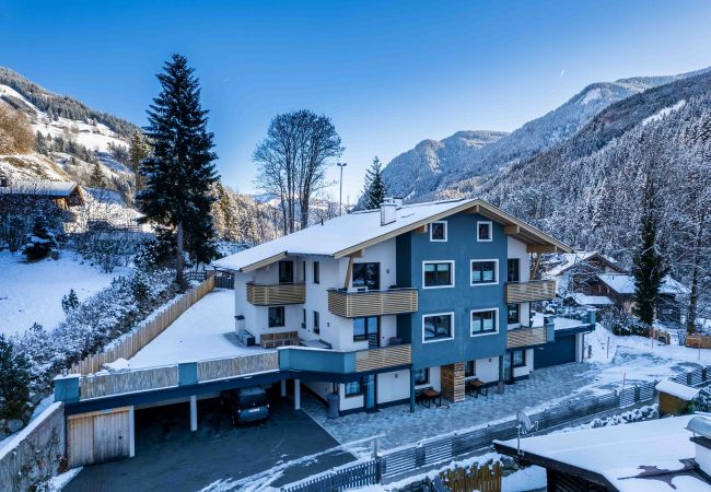 Apartment in Viehhofen - Appartement MaLo - Top 4