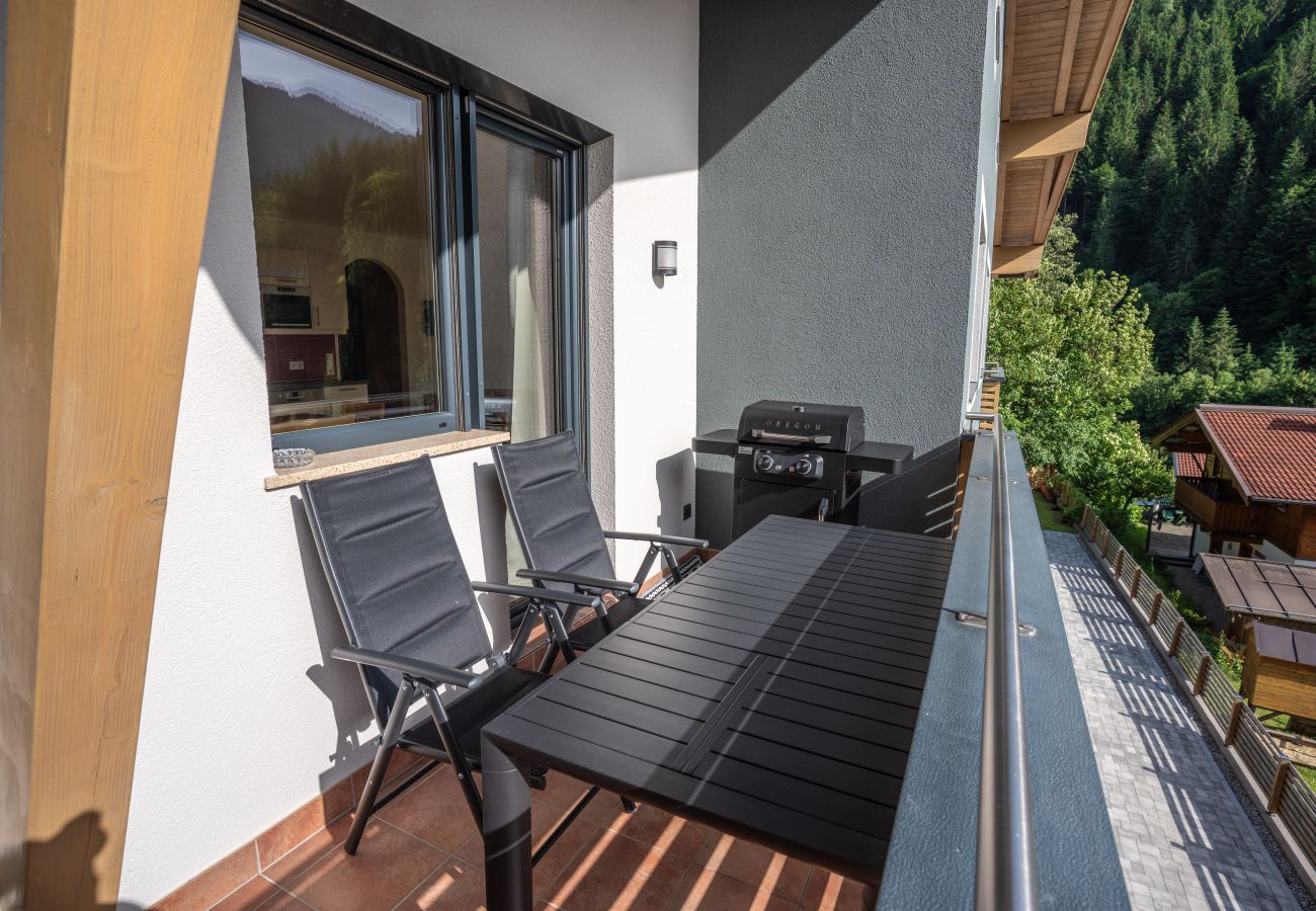 Apartment in Viehhofen - Appartement MaLo - Top 4