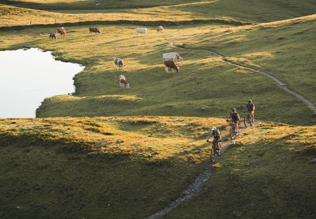 Apartment in Saalbach - Appartements Fürstauer - Top 3 Apartment in Saalbach - Appartements Fürstauer - Top 3