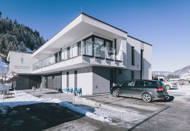 Apartment in Rauris - Apartments Goldbergblick - TOP 2 Apartment in Rauris - Apartments Goldbergblick - TOP 2