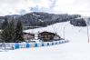 Apartment in Hinterglemm - Appartements Wittenius - TOP 10