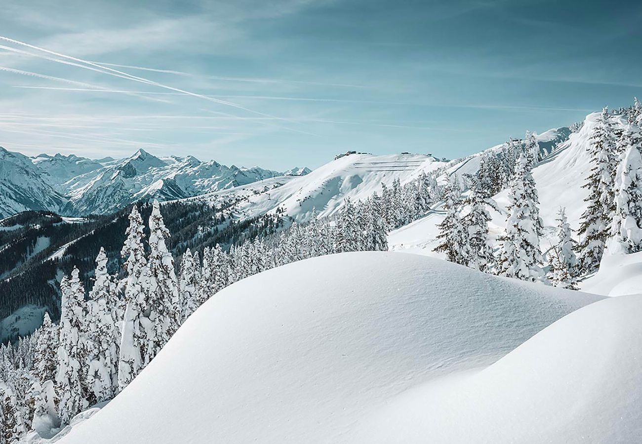 Studio in Zell am See - Tevini Boutique Suites - Studio