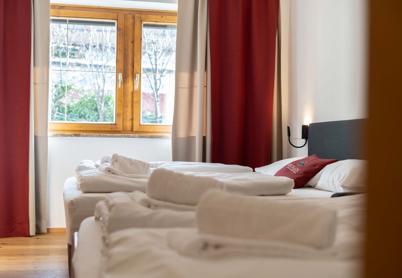 Apartment in Maria Alm am Steinernen Meer - KUCKUCK Hinterthal - Top 3