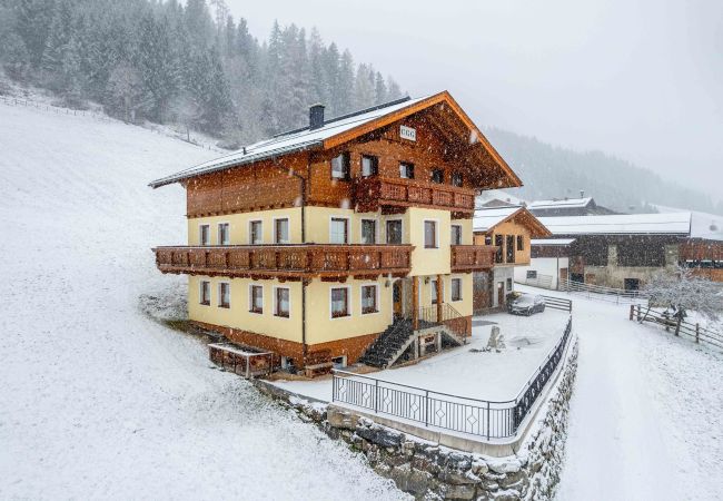 Apartment in Bad Hofgastein - Weitblick Appartements - TOP 2