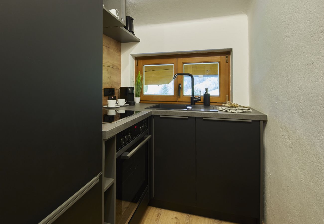 Apartment in Saalbach - Chalet Wallehen - TOP 6